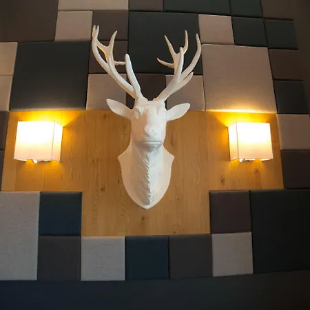 Zum Hirsch Hotel 3*