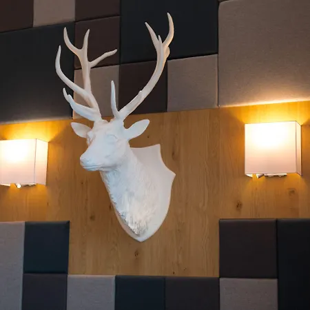 Zum Hirsch Hotel 3*