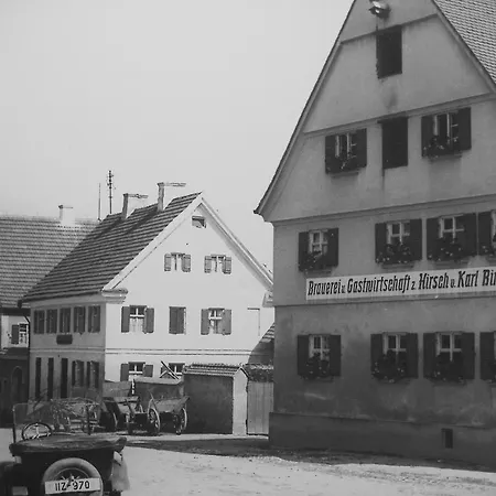 Zum Hirsch 酒店 Wertingen